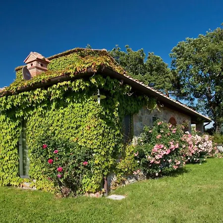 Il Diaccino Gaiole in Chianti